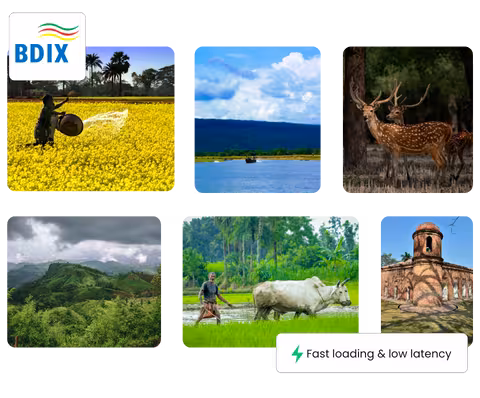 what-is-bdix-hosting